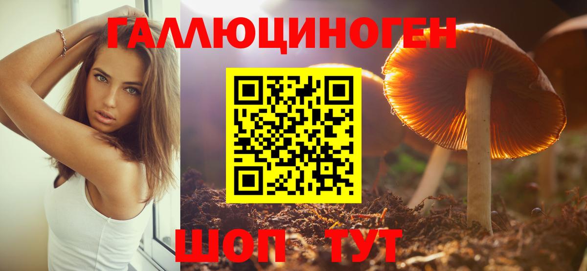 наркота  Вход с VPN  Рязань  Галлюциногенные грибы Psilocybe  Псилоцибиновые грибы мицелий 
